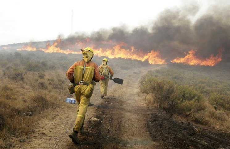 incendio-forestal