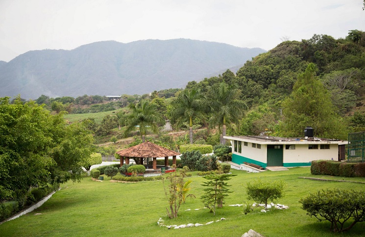 21 ZOCRIADERO 2