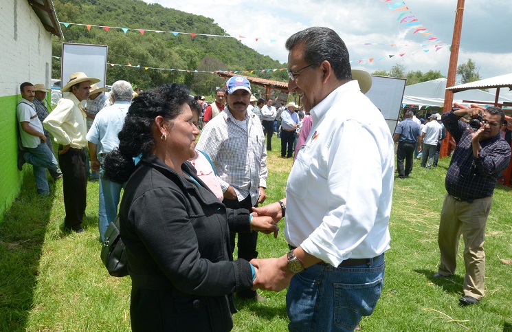 campo (1)