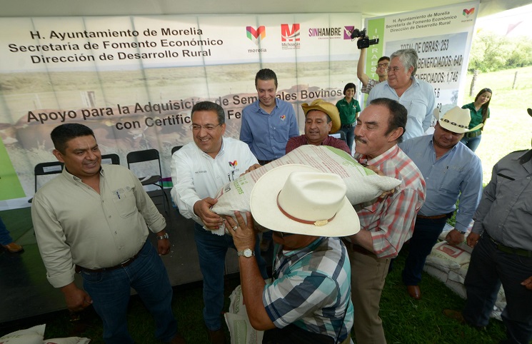 campo (21)