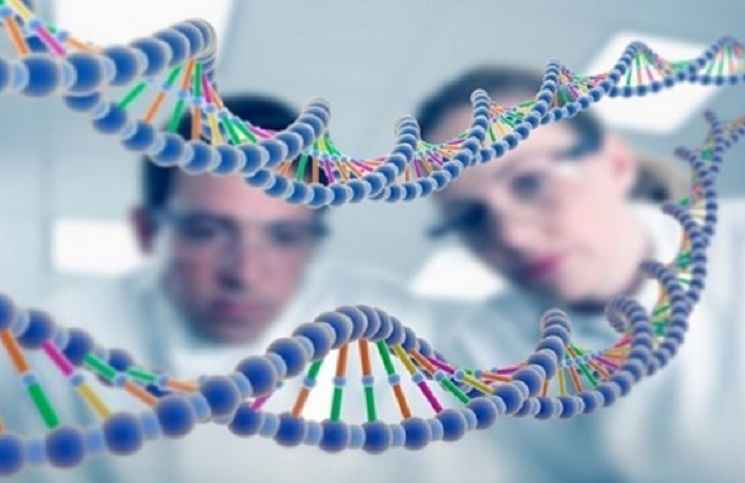 genetica