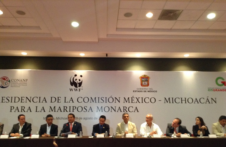 la foto 2 (1)