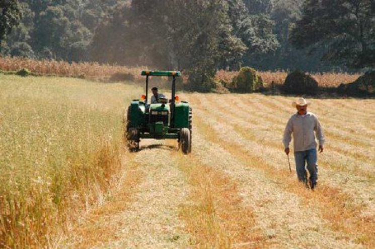 campo-11-450x300