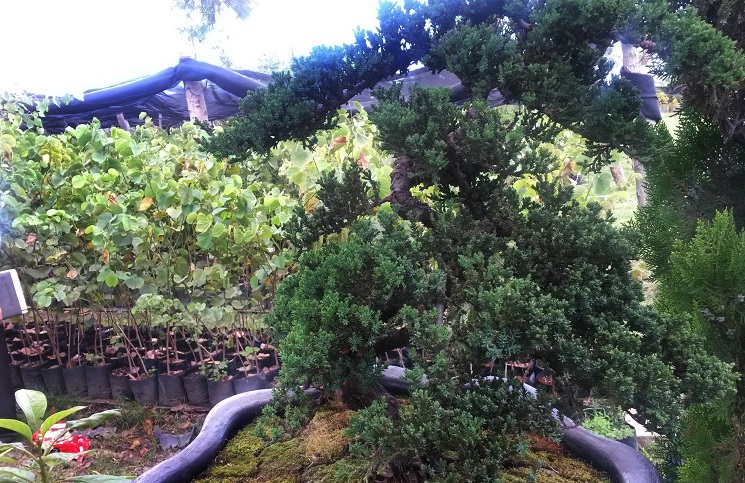 20140919_120922