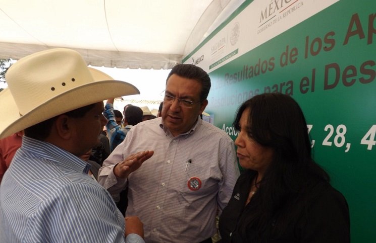 Foto para comunicado de chapulines.