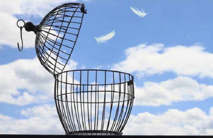 freedom