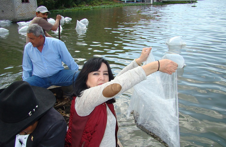 pesca2
