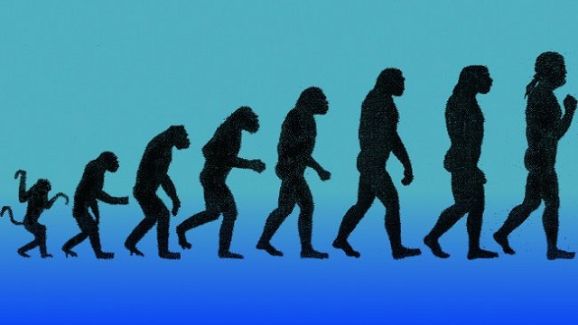 evolucion