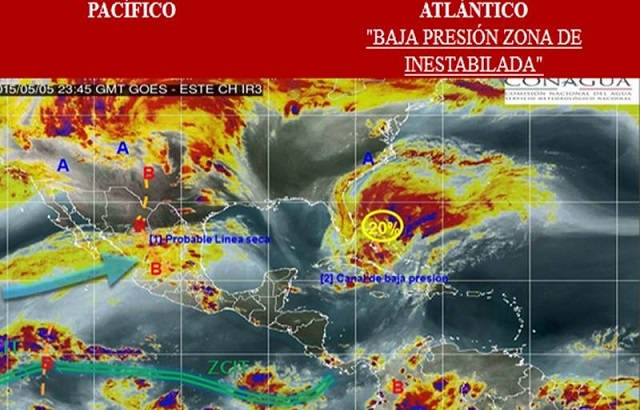 CM06-movil