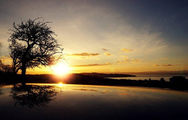 bdb3f3a561a8f98f_640_morning