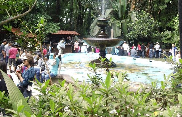 DSC00232