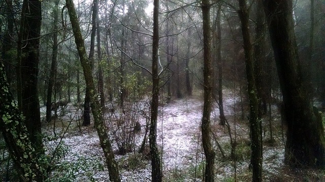 Granizada 2