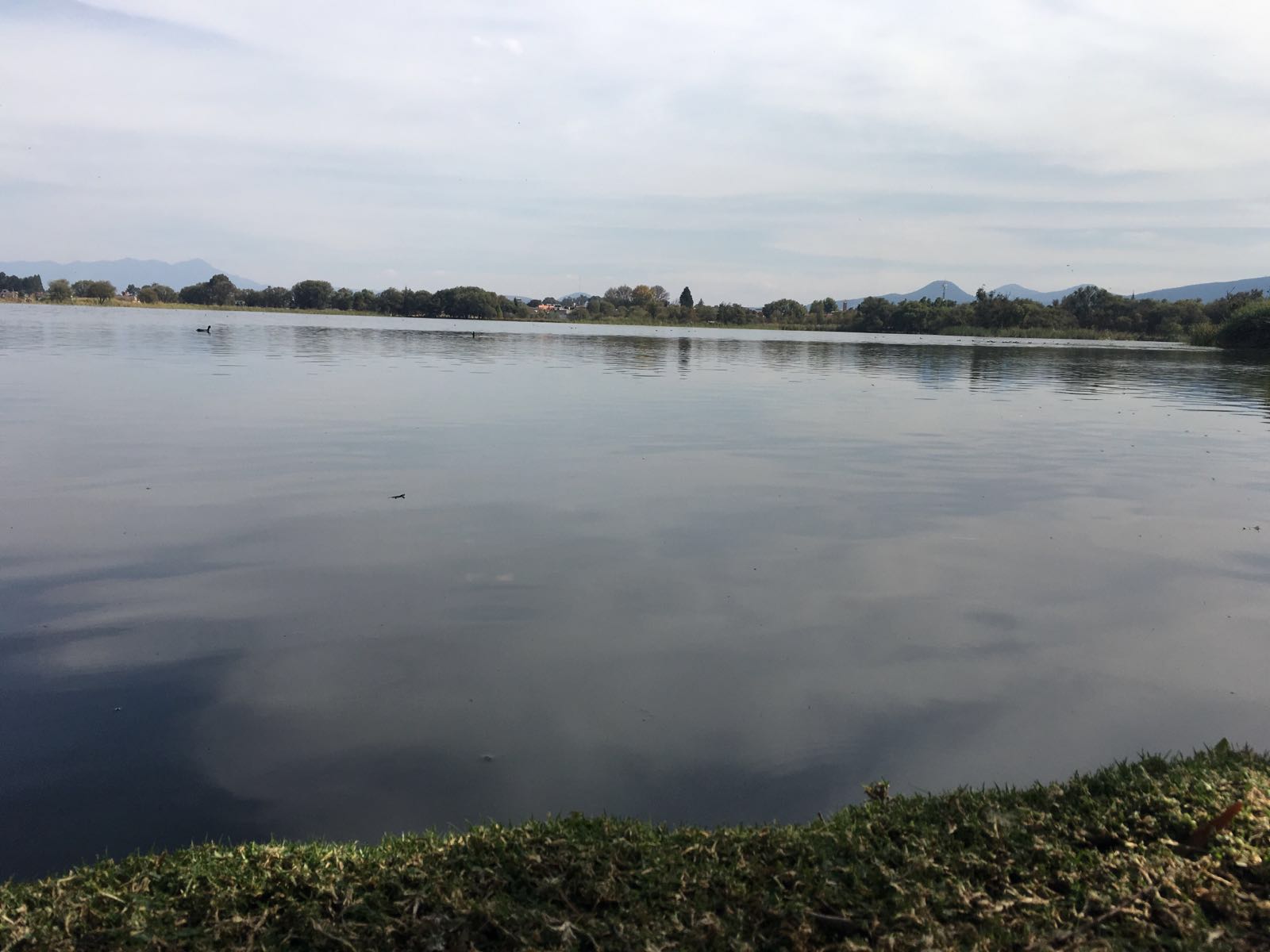 laguna