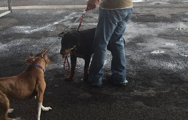 b7b309ab-967b-4d11-ae86-a3938ecf74bd