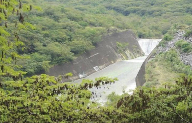 sierra_gorda_portegidas