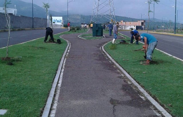 942567ca-8c77-4dea-8c60-8f114f3938bc