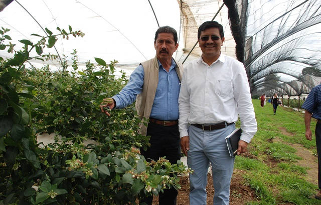 ca83ca53-7613-44d7-b010-2e5ba88e285d