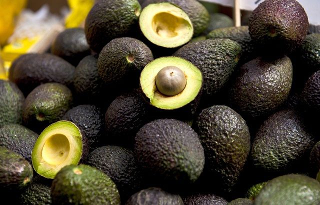 aguacates_2