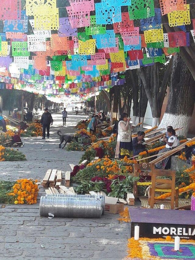 f02ee6c2-1f8f-4b1c-8b04-e727ea07c2a5