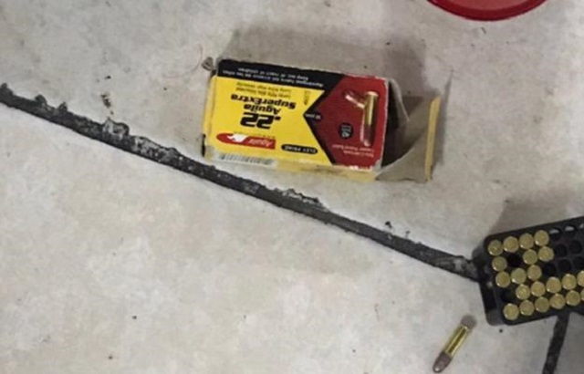 nl123