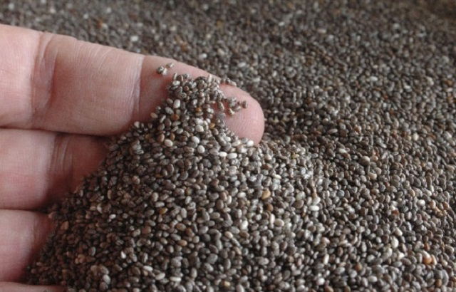 chia