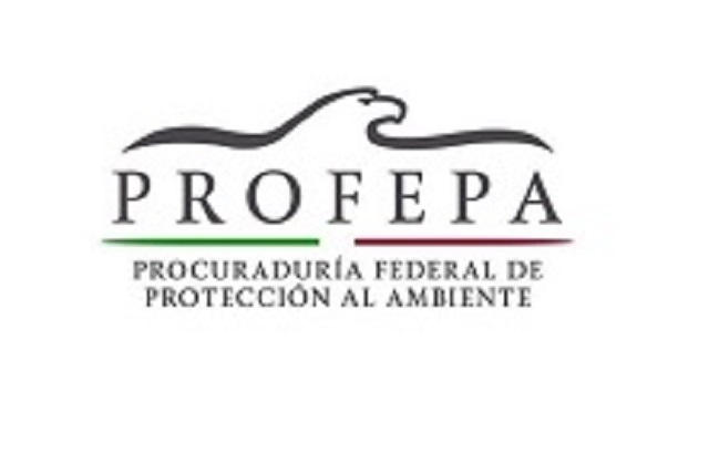 Ic LOGO PROFEPA