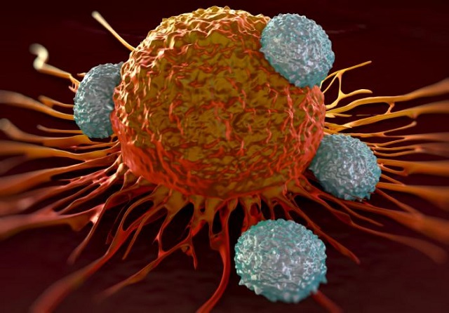 t-cells-attacking-cancer
