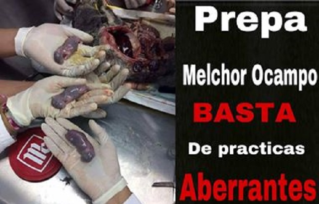 sacrificio de conejita en la prepa Melchor Ocampo