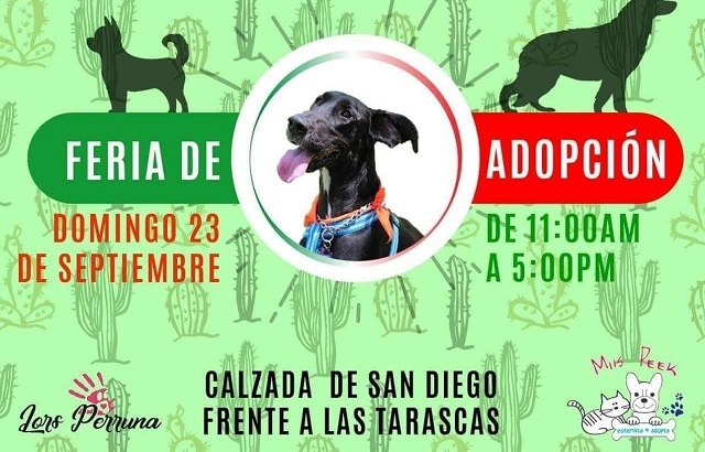 adopción 23 sep