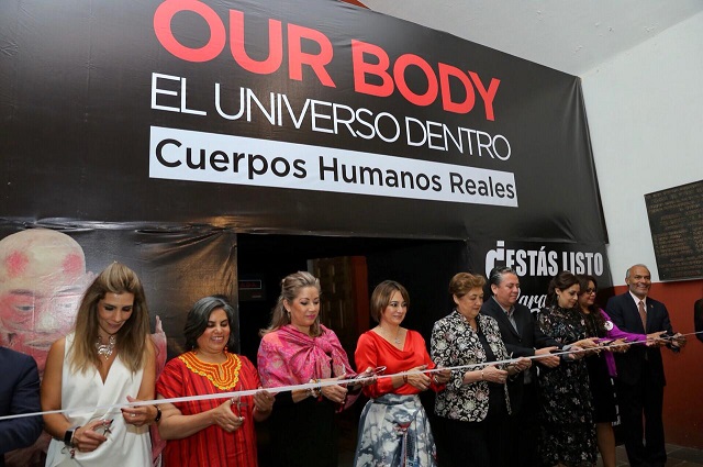 beea35cc-354c-4780-b3a4-4da13be0a838