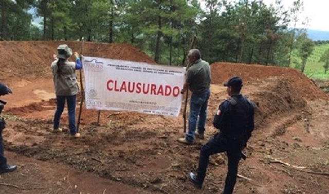 post_PROFEPA_Clausura_de_cambios_de_uso_de_suelo__con_apego_a_la_legalidad_2