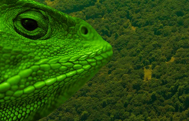 acca7dd2-3c50-4323-9c67-7dea52f8bb10