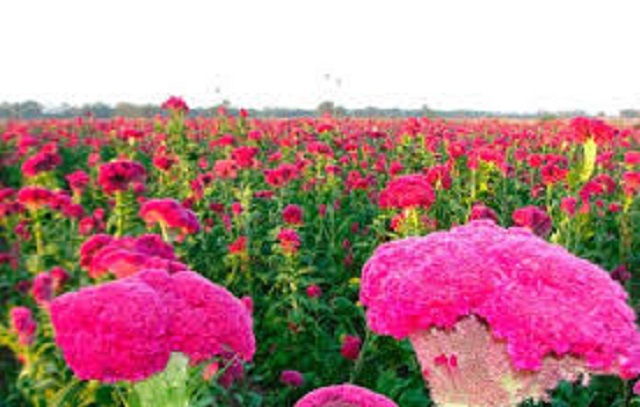 a79be04e-2507-40d5-9978-58c73654f7ef