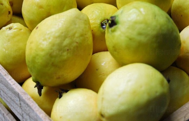 guayaba4