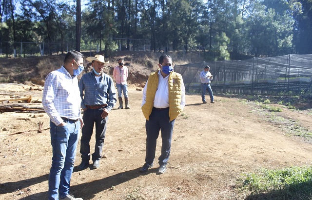 d2e20a42-dc4f-492a-a05e-bcfdf1569d0d