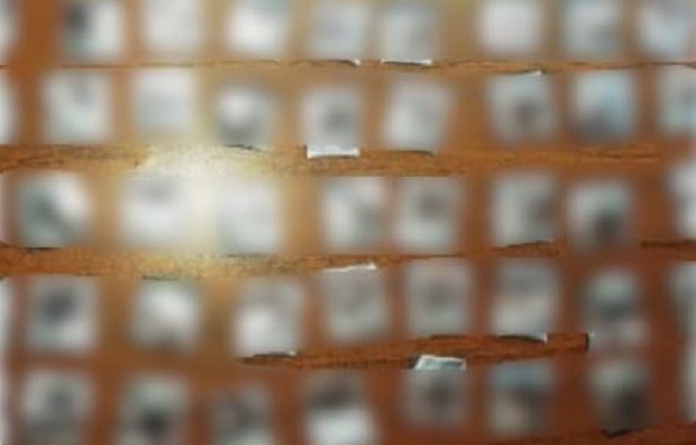 4c8f41ae-c2ca-4c9b-b3e5-e8402b4bbac6