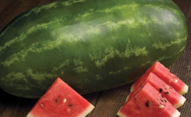 sandia4