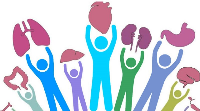 donacion-de-organos