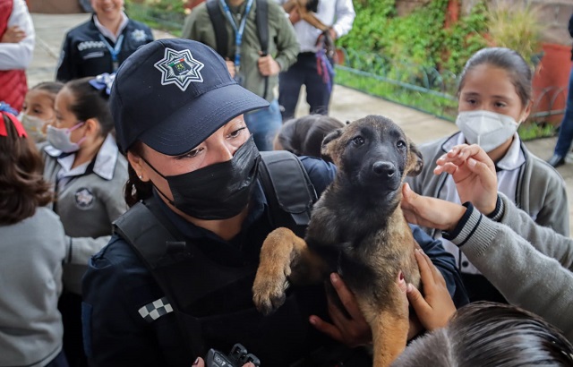 WhatsApp Image 2022-06-28 at 5.11.18 PM