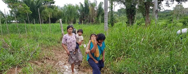 La-dura-crisis-economica-que-azota-a-las-comunidades-indigenas-en-Michoacan