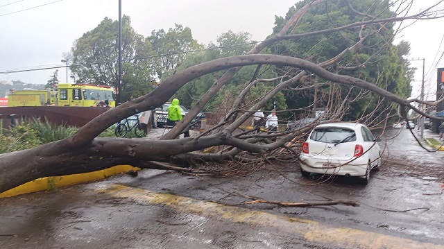 WhatsApp Image 2022-07-30 at 6.48.06 PM