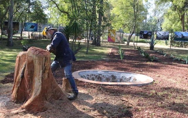 WhatsApp Image 2022-11-17 at 12.44.34 PM