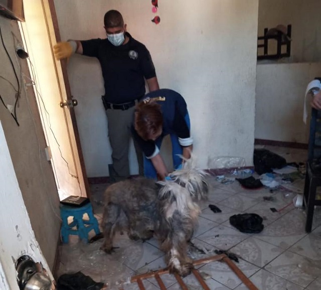 a82dafb5-a7b1-74ec-09db-97ba75051cf3