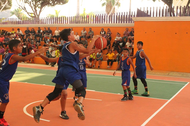 Img 5