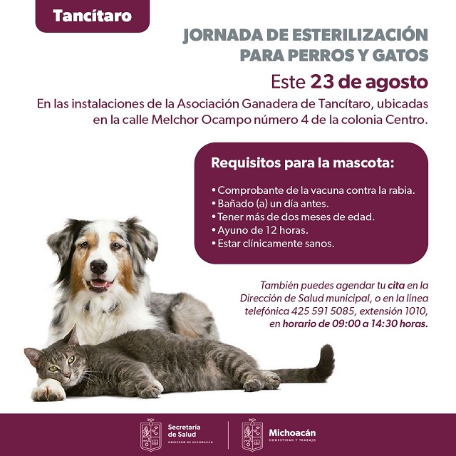 Imagen de WhatsApp 2023-08-21 a las 16.13.57