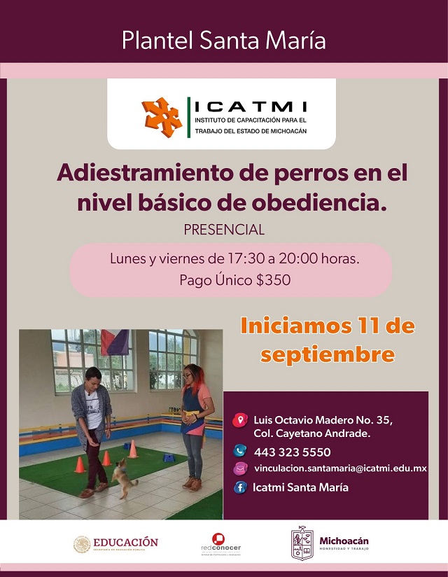 Imagen de WhatsApp 2023-09-07 a las 15.18.57