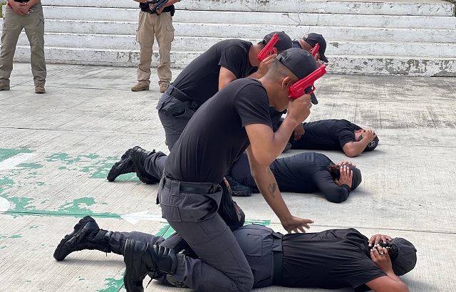 Imagen de WhatsApp 2023-11-08 a las 17.17.56_a9a62a7f