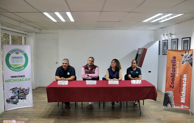 Imagen de WhatsApp 2023-11-22 a las 15.30.17_36a278b4