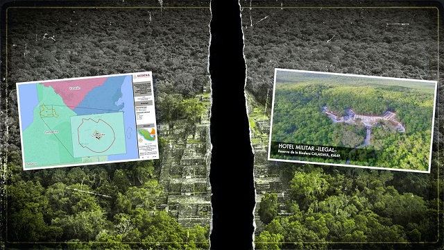 10a22378-2a21-9c93-2b56-d49b91b5087d