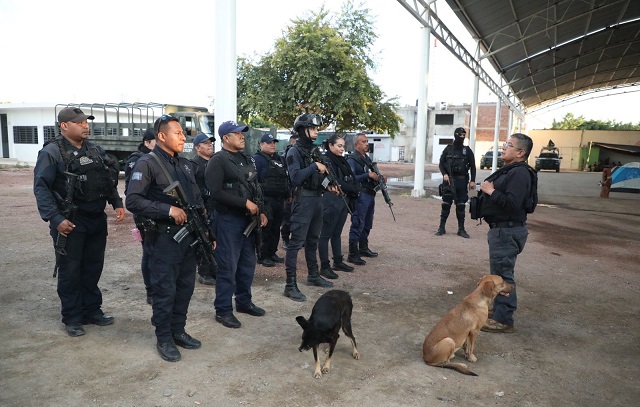 Imagen de WhatsApp 2023-12-11 a las 20.09.12_1c024fb3
